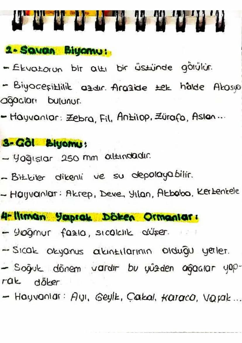 2. Savan Biyomu:
-
-
Ekvatorun bir alti bir üstünde görülür.
Biyoceşitlilik azdır. Arazide tek halde Akasya
ağacları bulunur.
- Hayvanlar: Z