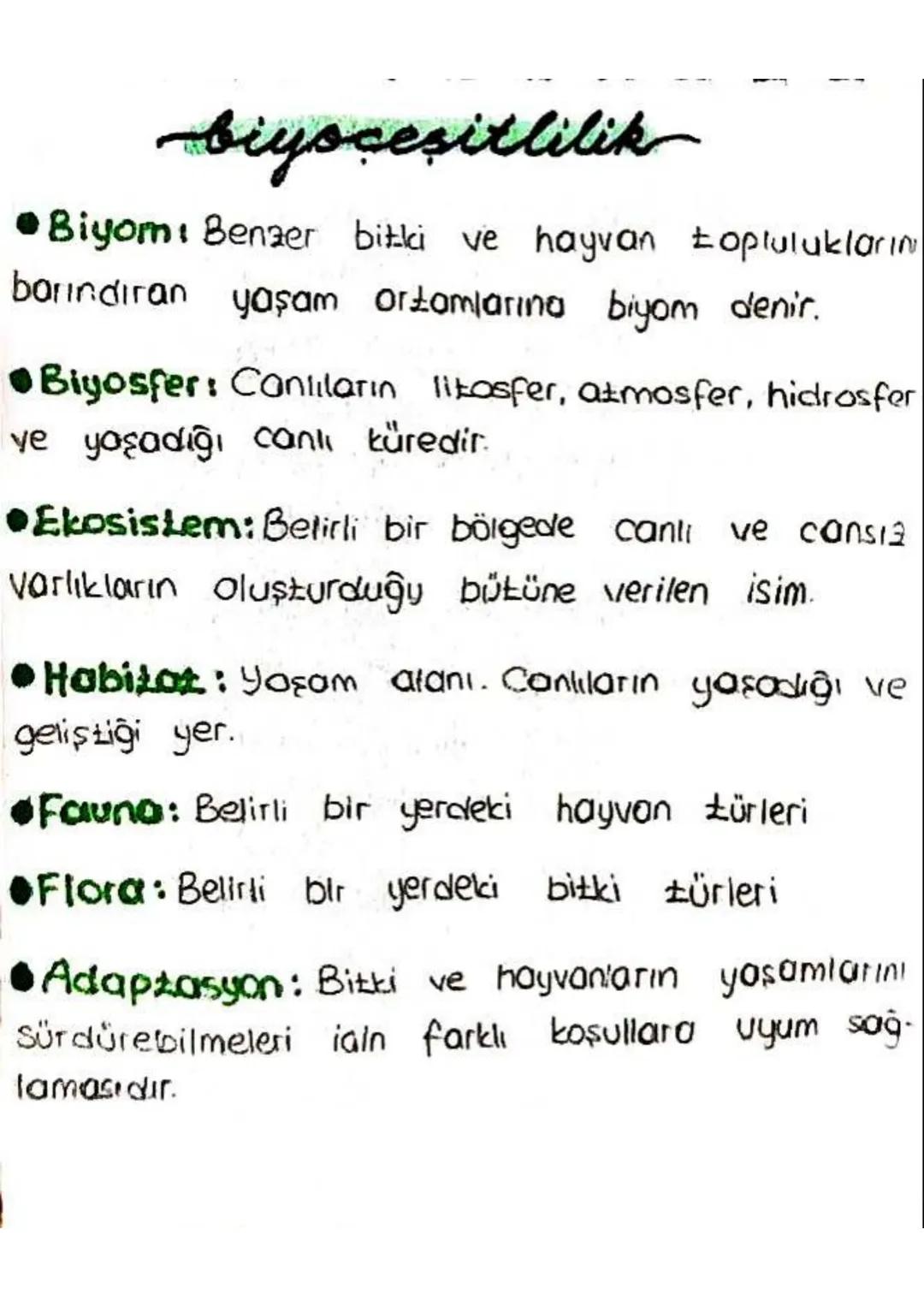 2. Savan Biyomu:
-
-
Ekvatorun bir alti bir üstünde görülür.
Biyoceşitlilik azdır. Arazide tek halde Akasya
ağacları bulunur.
- Hayvanlar: Z