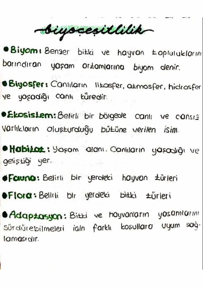 2. Savan Biyomu:
-
-
Ekvatorun bir alti bir üstünde görülür.
Biyoceşitlilik azdır. Arazide tek halde Akasya
ağacları bulunur.
- Hayvanlar: Z