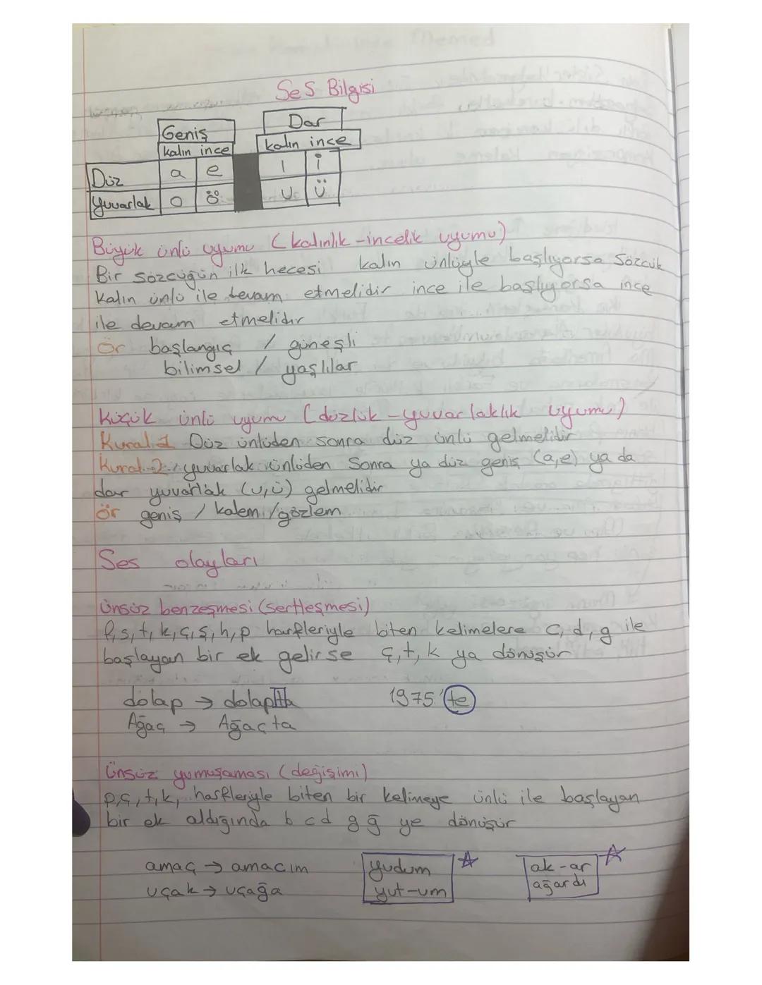 Ses Bilgisi ve Önemli Ses Olayları