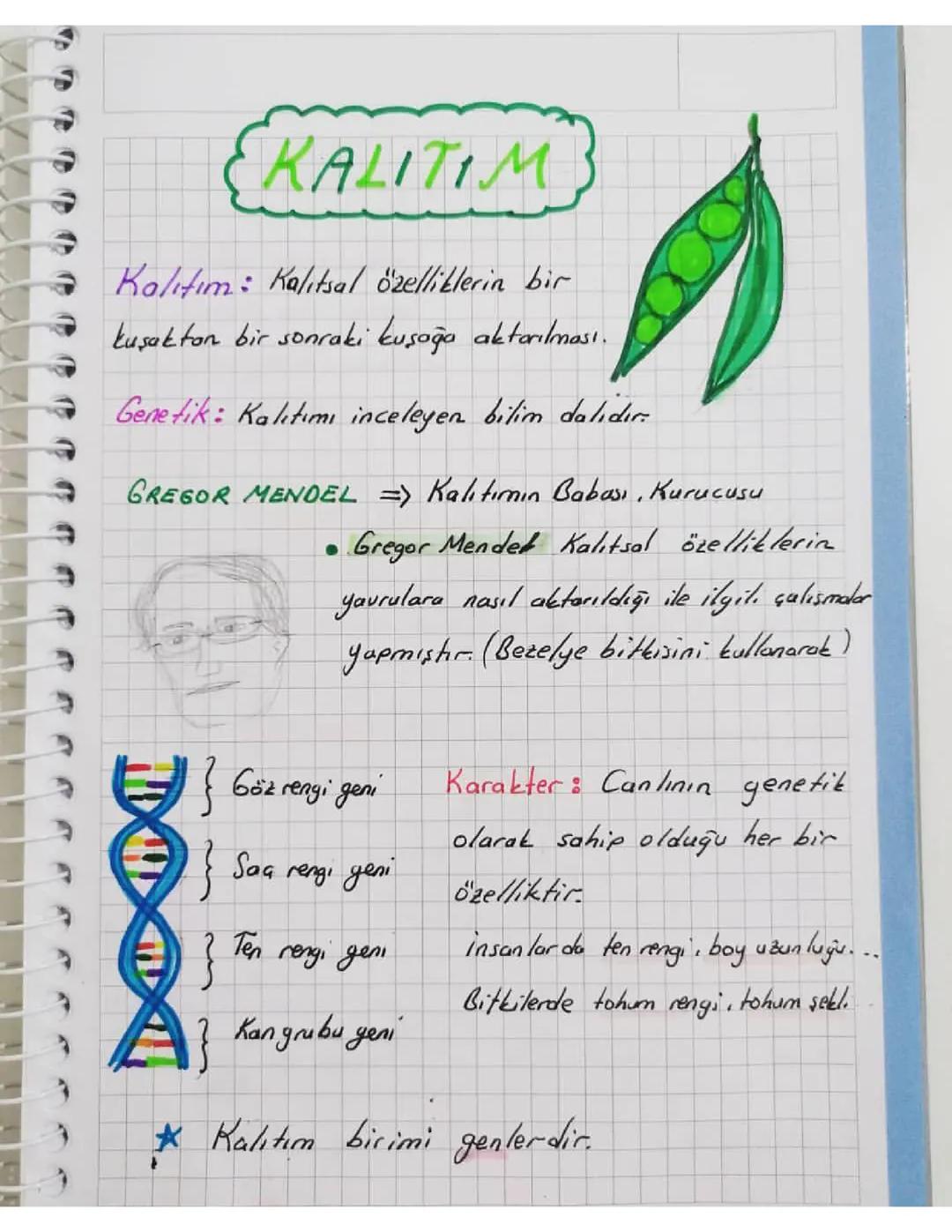 Kalıtım