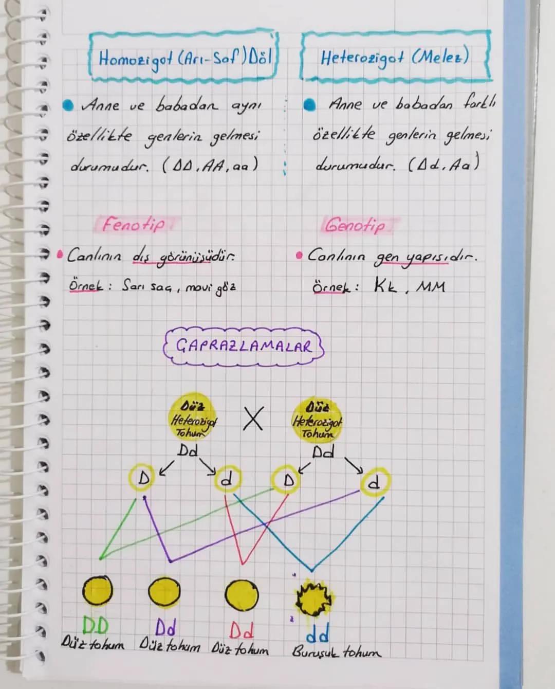 KALITIM
Kalitim: Kalitsal özelliklerin bir
kuşaktan bir sonraki kuşağa aktarılması.
Genetik: Kalıtımı inceleyen bilim dalıdır.
GREGOR MENDEL