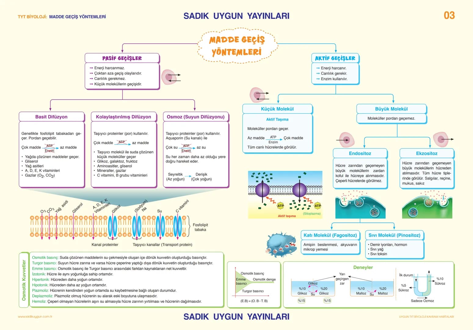 # TYT BİYOLOJİ CANLILARIN TEMEL BİLEŞENLERİ                                                                                                 