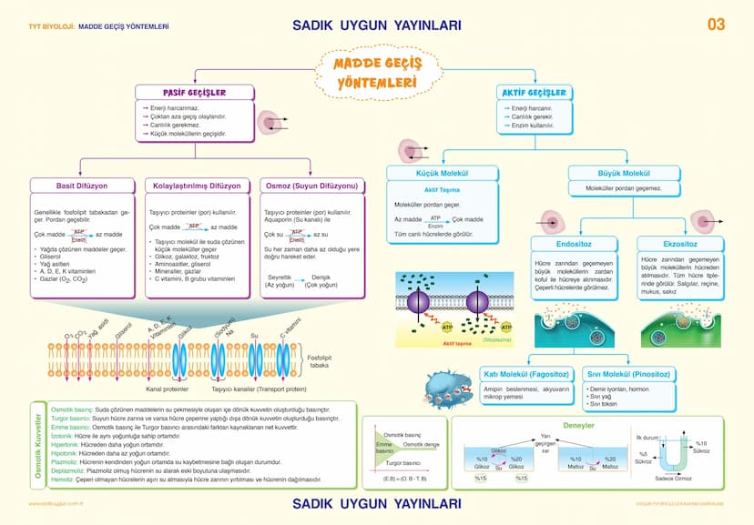 # TYT BİYOLOJİ CANLILARIN TEMEL BİLEŞENLERİ                                                                                                 