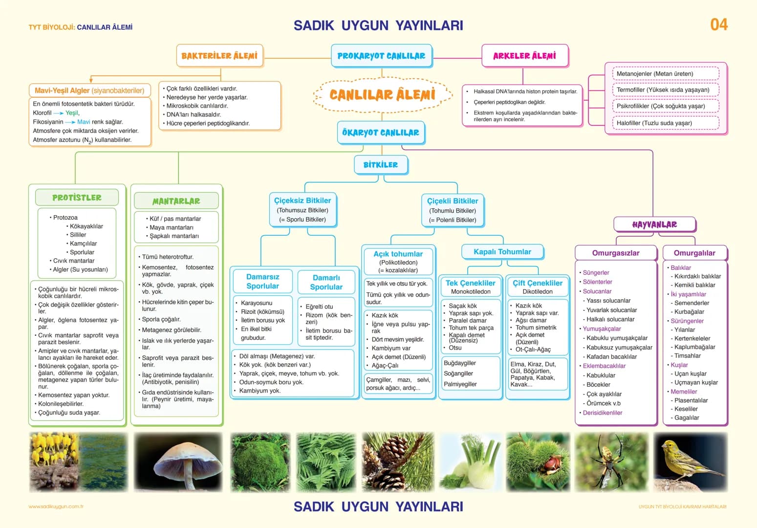 # TYT BİYOLOJİ CANLILARIN TEMEL BİLEŞENLERİ                                                                                                 