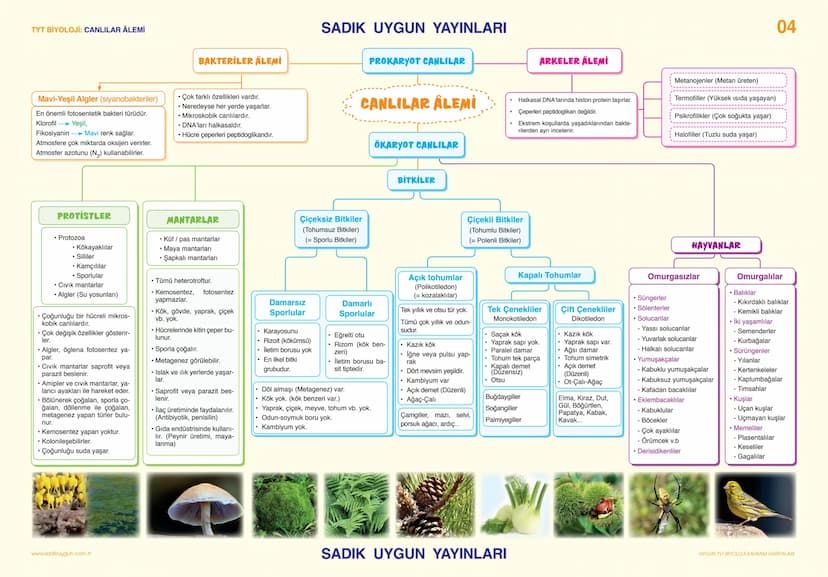 # TYT BİYOLOJİ CANLILARIN TEMEL BİLEŞENLERİ                                                                                                 