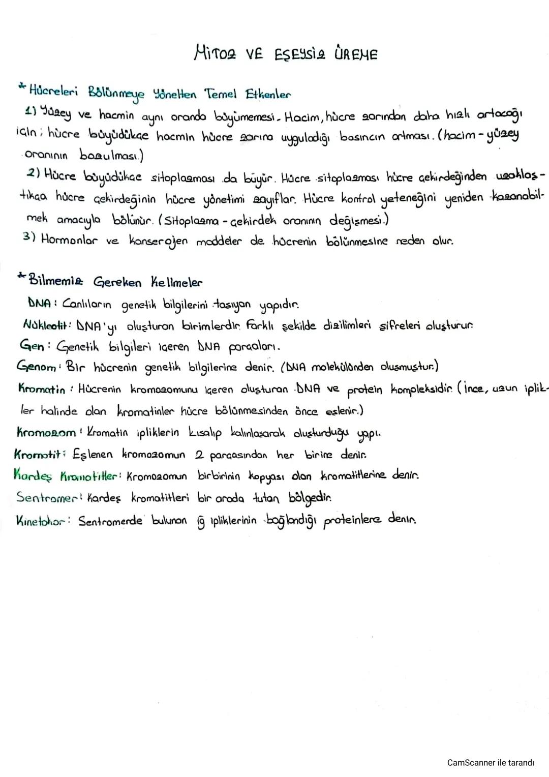 Mitoz ve eşeysiz üreme