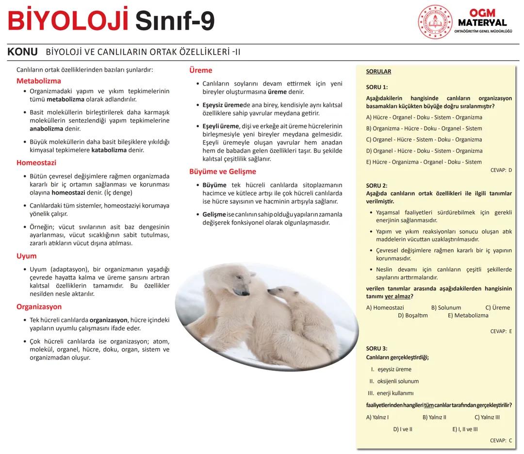 canlıların ortak öz.