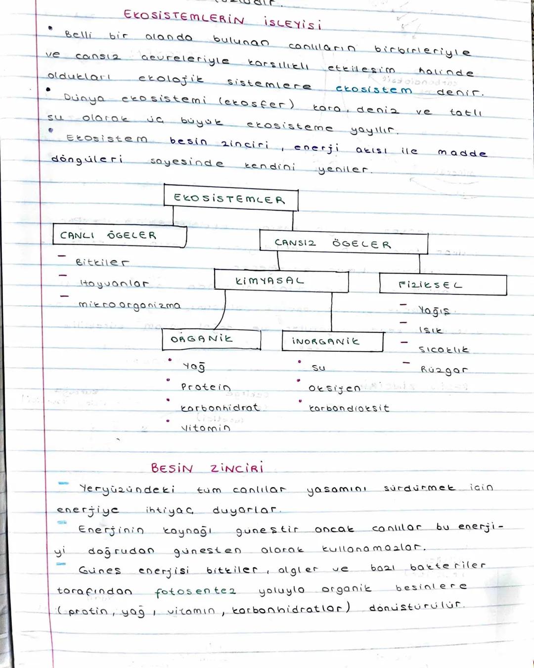 Ekosistemlerin işleyişi