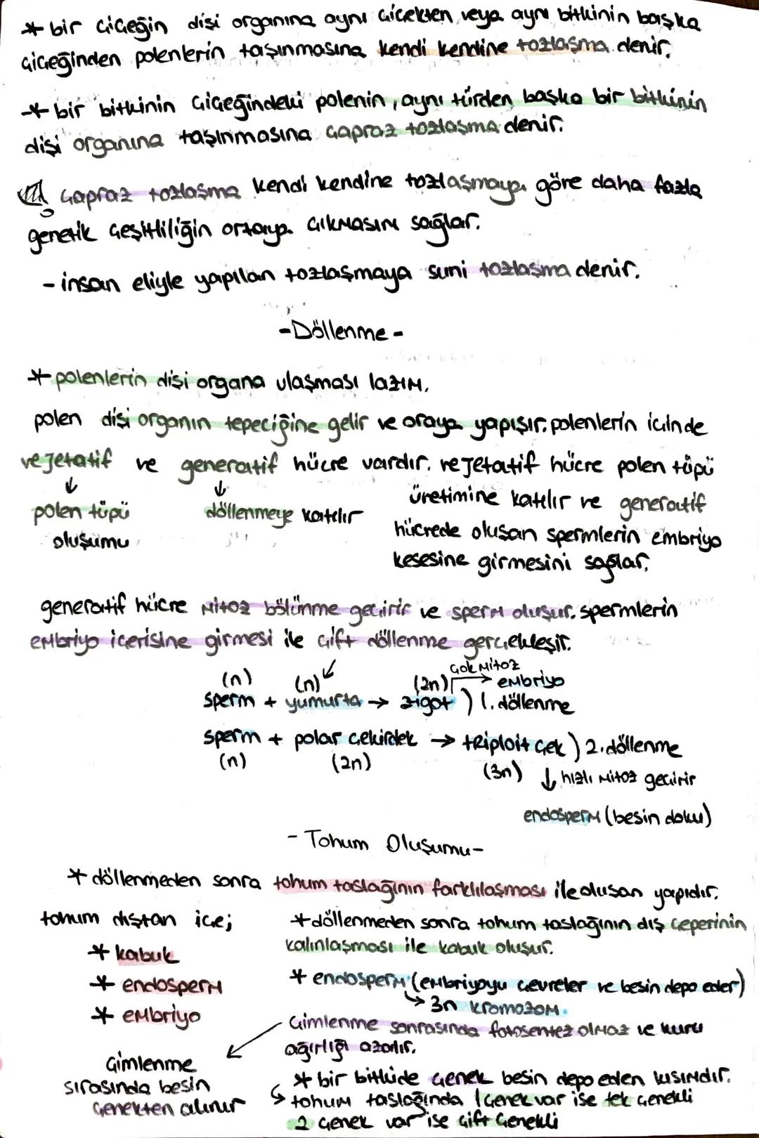 * bir çiçeğin dişi organına aynı çiçekten veya aynı bitkinin başke
çiçeğinden polenlerin taşınmasına kendi kendine tozlaşma denir.
+ bir bit