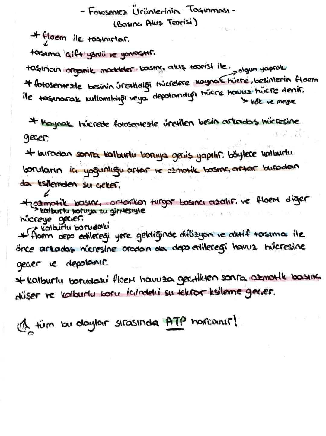 * bir çiçeğin dişi organına aynı çiçekten veya aynı bitkinin başke
çiçeğinden polenlerin taşınmasına kendi kendine tozlaşma denir.
+ bir bit