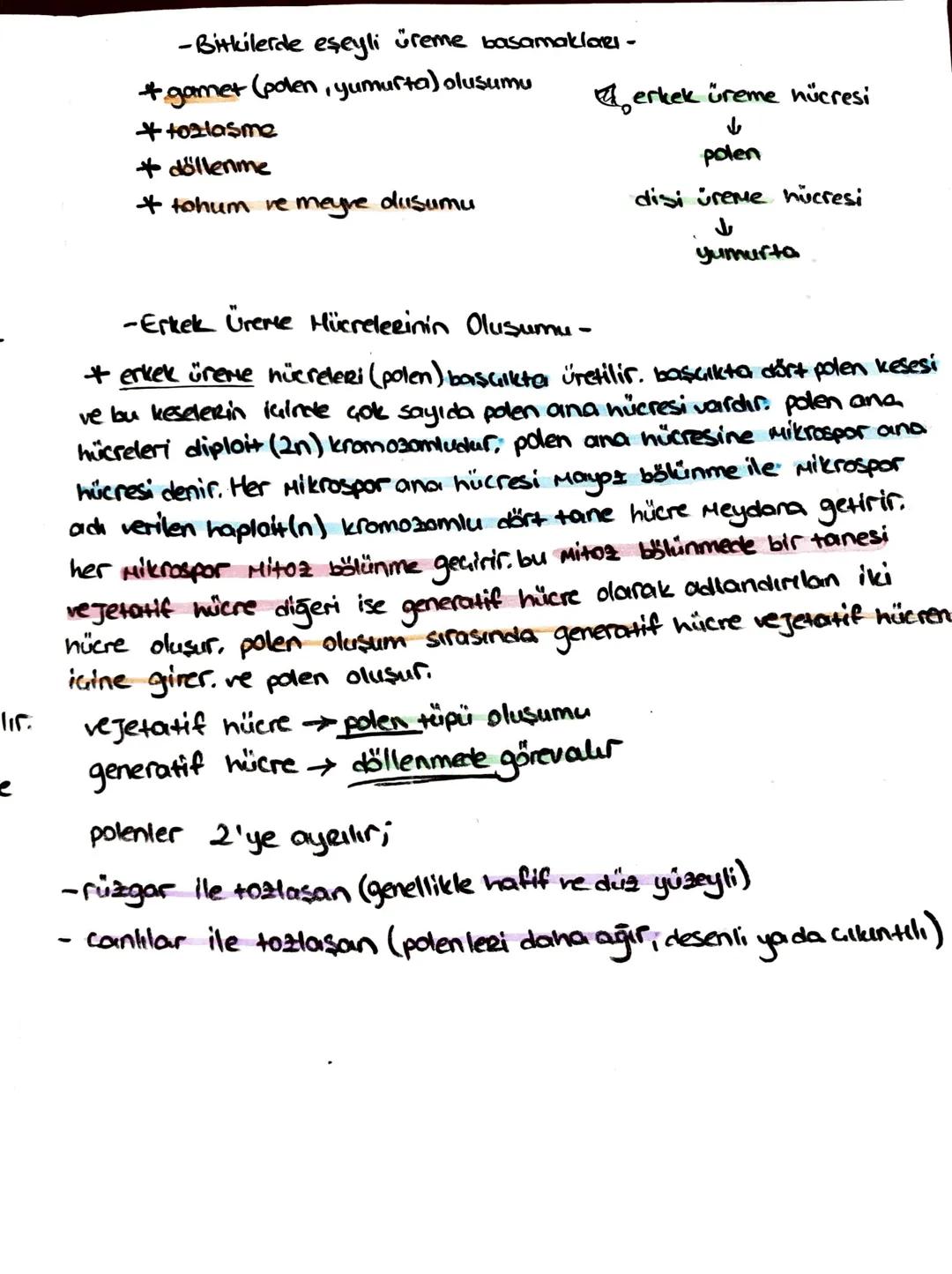 * bir çiçeğin dişi organına aynı çiçekten veya aynı bitkinin başke
çiçeğinden polenlerin taşınmasına kendi kendine tozlaşma denir.
+ bir bit