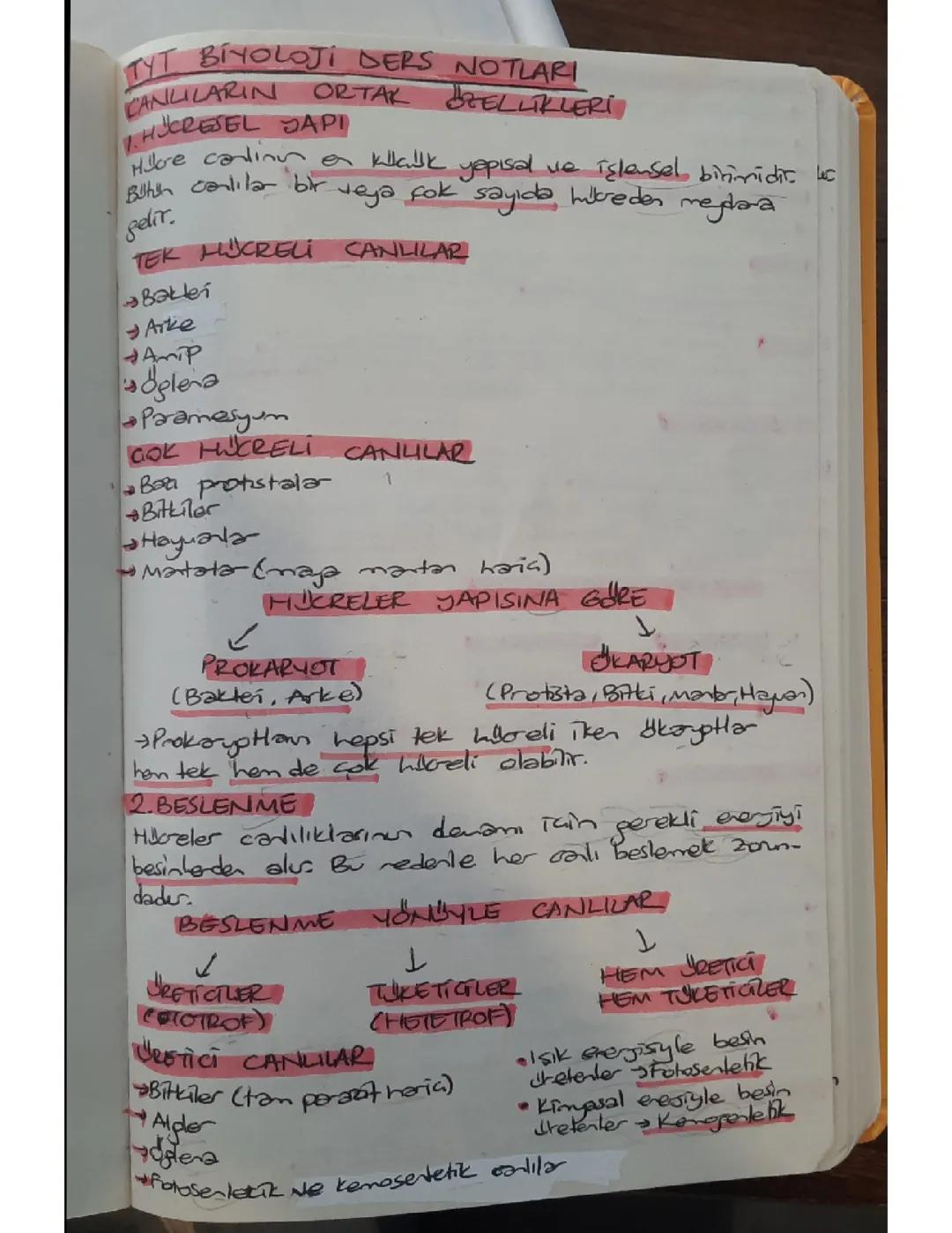 Tyt biyoloji ders notları