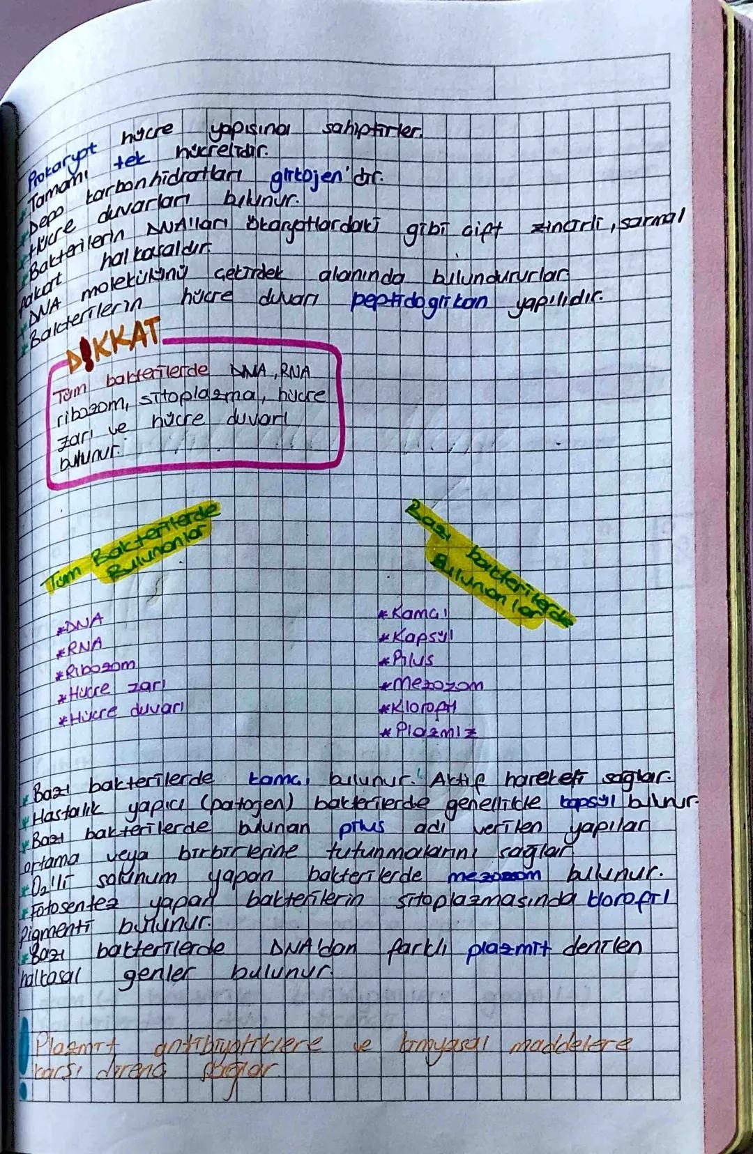 RNA
Plazmit
Bakteriler Alemi
Stoplazmave
enzim sistemleri
Ribosom
Bakteri DNASI
(Bakteri genomu
Nükleofit adlı bölgede bulunur.
Halkasaldir 