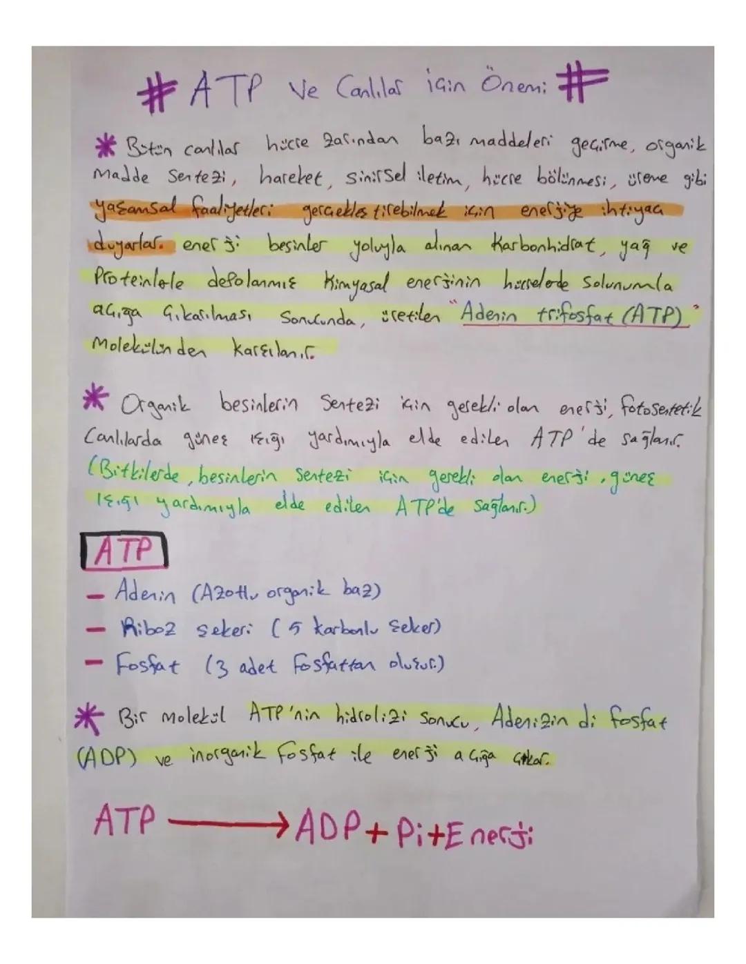 ATP VE CANLILAR İÇİN ÖNEMİ