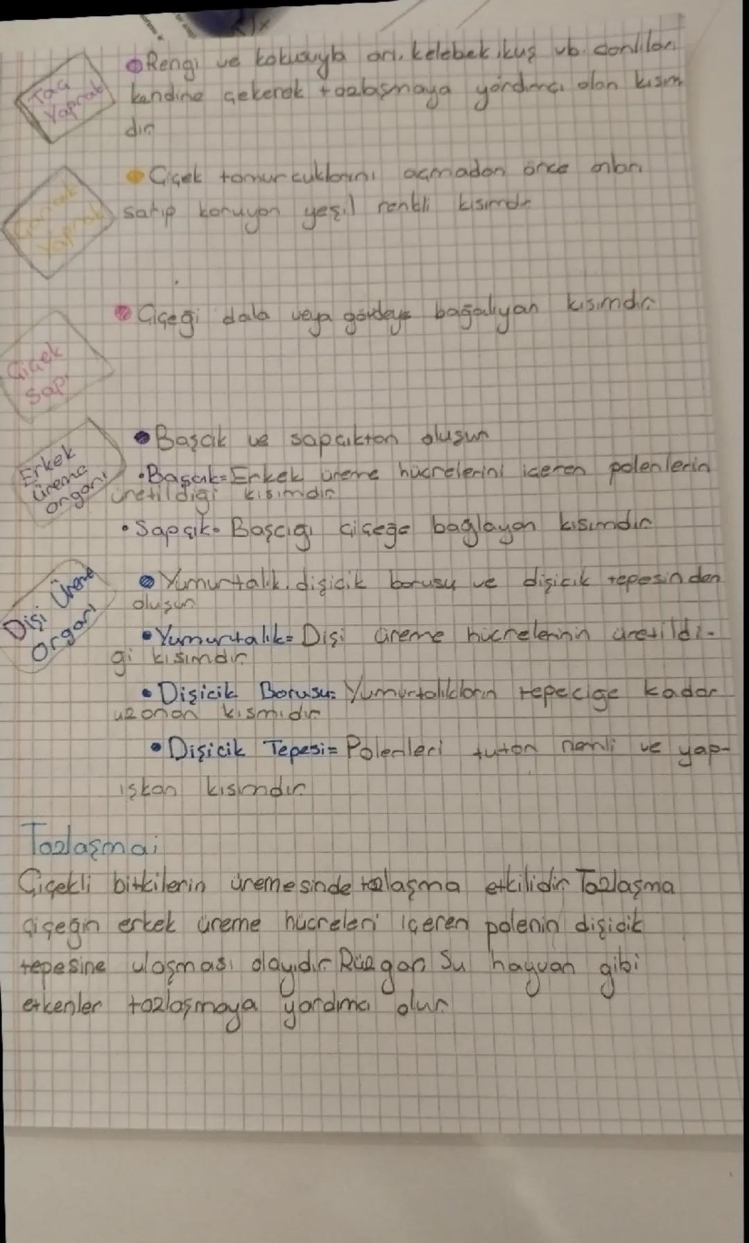 BITKİLERDE UREME UE GELIEME
Bitkiler çiçekli ve çiçeksiz olarak sınıflandrika
Bitkiler

Giçeksie bitkilers
(Giçekli Bitkiler)
Kayısı
Elma
An
