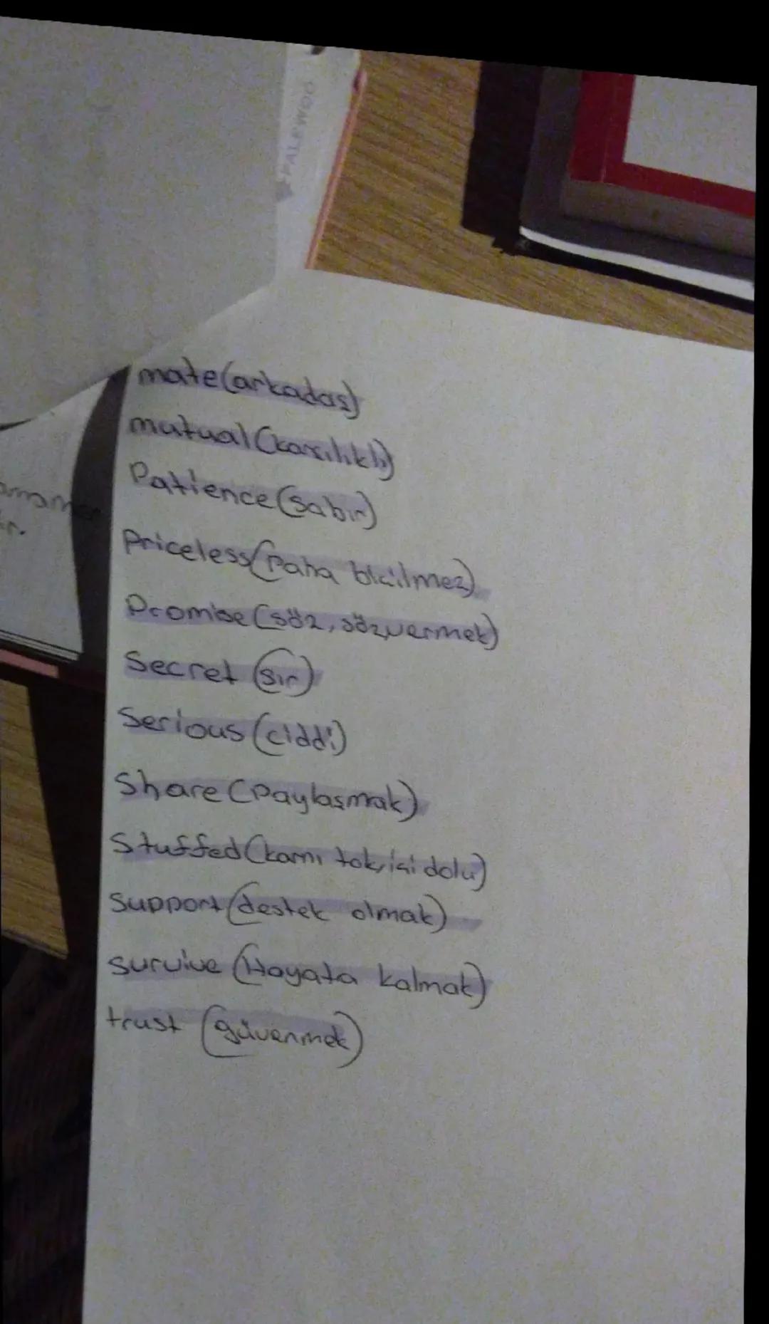 cabulary
Advice (tavsiye öneri)
awesome (harika)
back up (desteklemek)
best friend (en iyi arkadaş)
buddy (kanka, arkadaş)
busy (meşgul)
coo