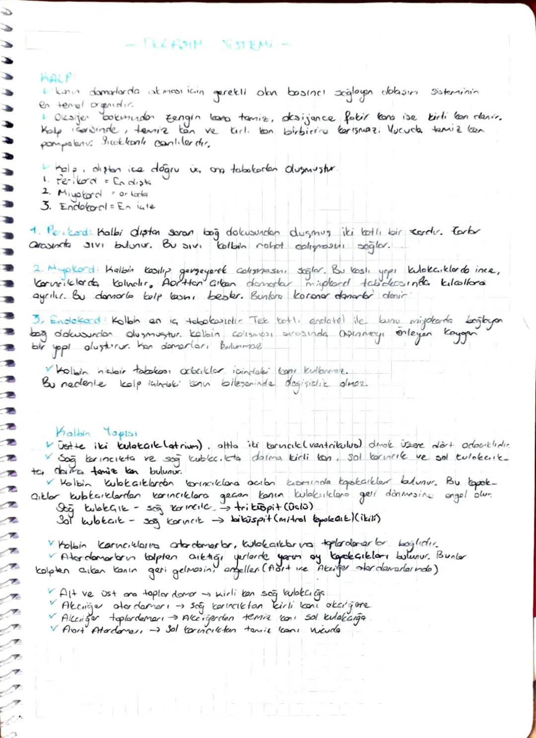 DULASIN
SISTEM
HALP
Planın damarlarda akması için gerekli okn basıncı sağlayan dolaşım
en temel organidir.
Sisteminin
+ Oksijen bokmurder ze