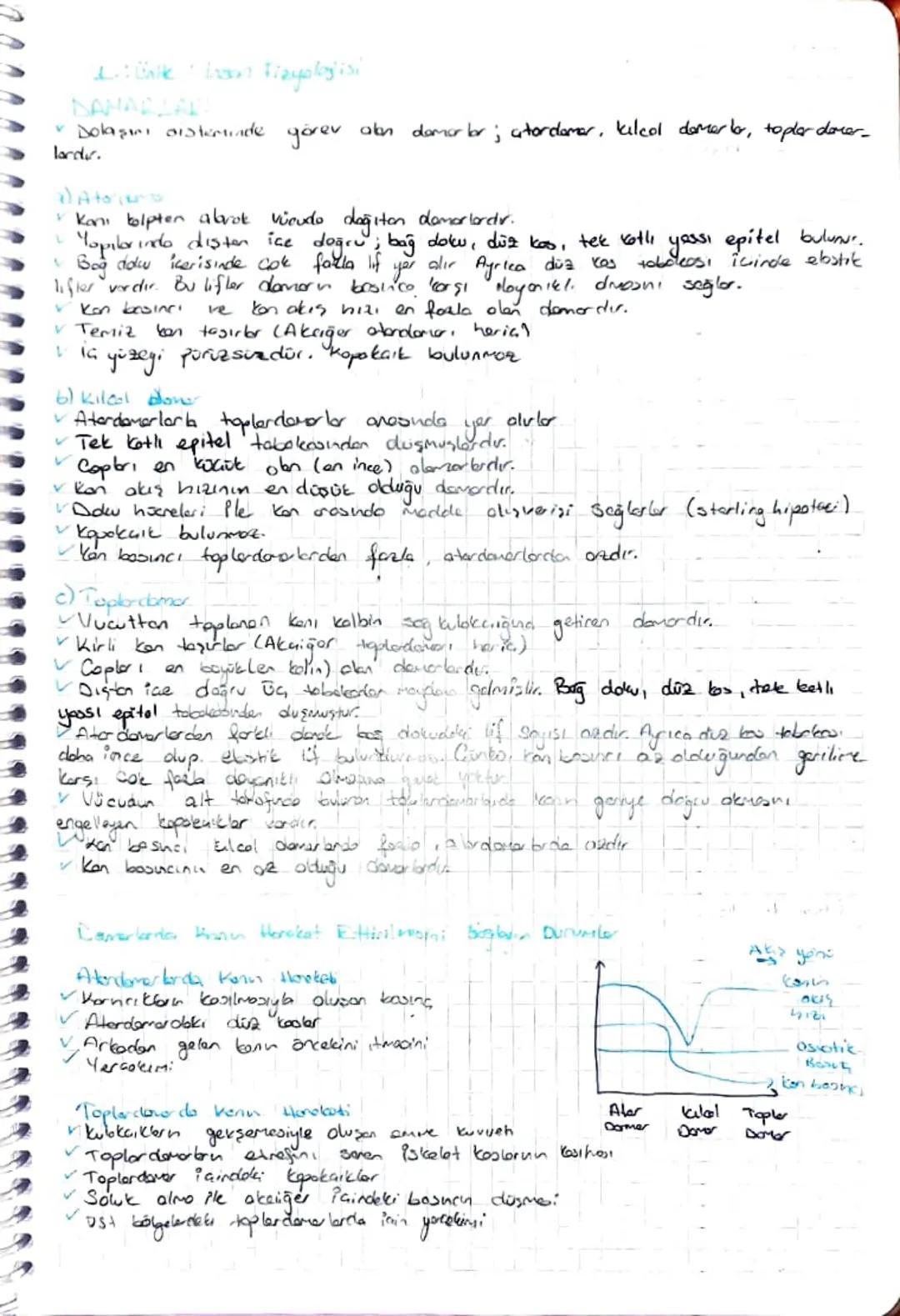 DULASIN
SISTEM
HALP
Planın damarlarda akması için gerekli okn basıncı sağlayan dolaşım
en temel organidir.
Sisteminin
+ Oksijen bokmurder ze