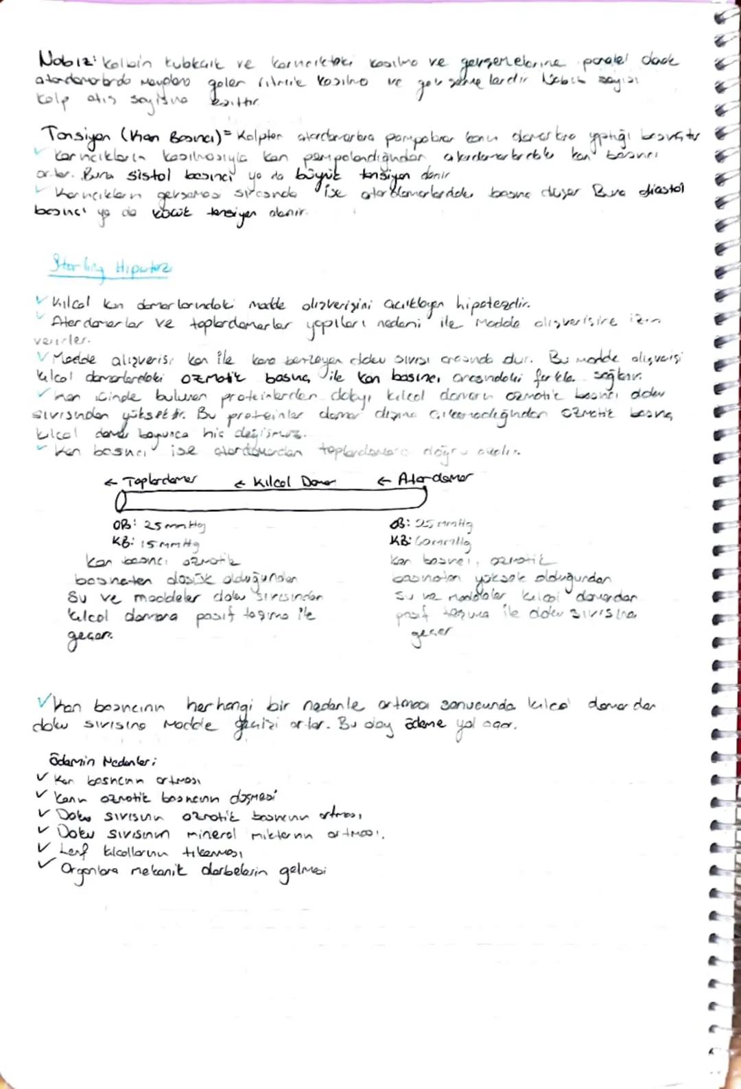 DULASIN
SISTEM
HALP
Planın damarlarda akması için gerekli okn basıncı sağlayan dolaşım
en temel organidir.
Sisteminin
+ Oksijen bokmurder ze