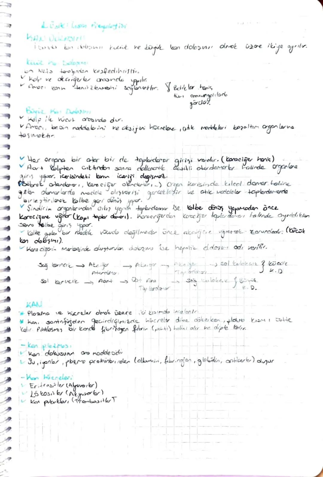 DULASIN
SISTEM
HALP
Planın damarlarda akması için gerekli okn basıncı sağlayan dolaşım
en temel organidir.
Sisteminin
+ Oksijen bokmurder ze