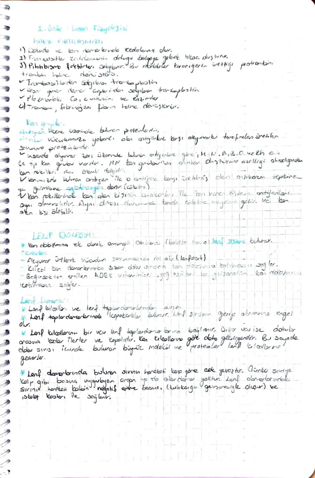 DULASIN
SISTEM
HALP
Planın damarlarda akması için gerekli okn basıncı sağlayan dolaşım
en temel organidir.
Sisteminin
+ Oksijen bokmurder ze