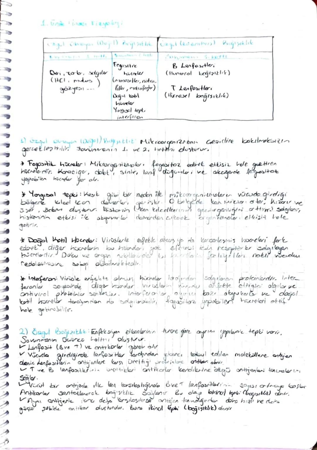 DULASIN
SISTEM
HALP
Planın damarlarda akması için gerekli okn basıncı sağlayan dolaşım
en temel organidir.
Sisteminin
+ Oksijen bokmurder ze