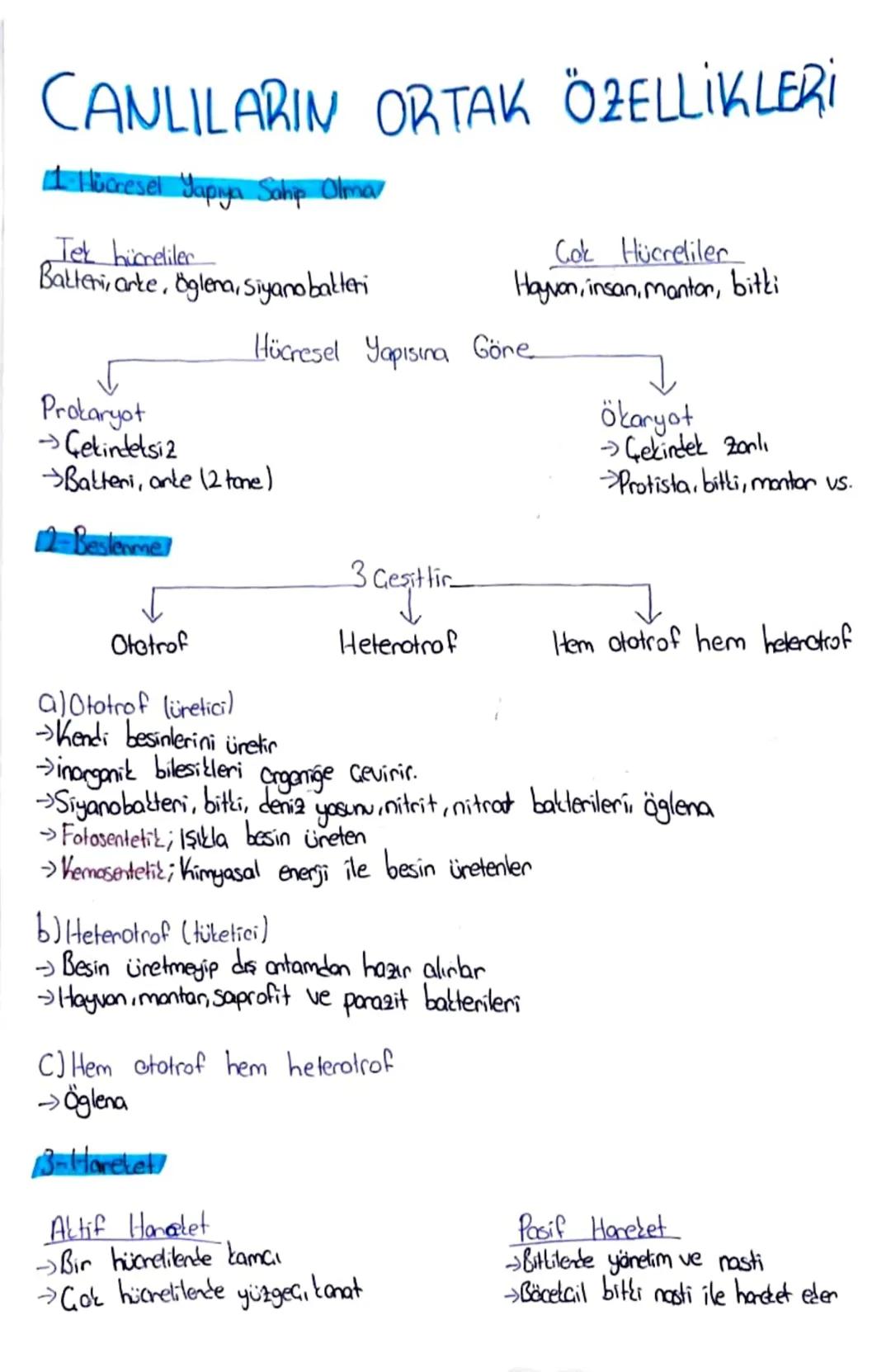 CANLILARIN ORTAK ÖZELLİKLERİ
1 Hücresel Yapıya Sahip Olma
Tek hücreliler
Batteri, arte, Öglena, Siyanobakteri
Cok Hücreliler
Hayvan, insan, 