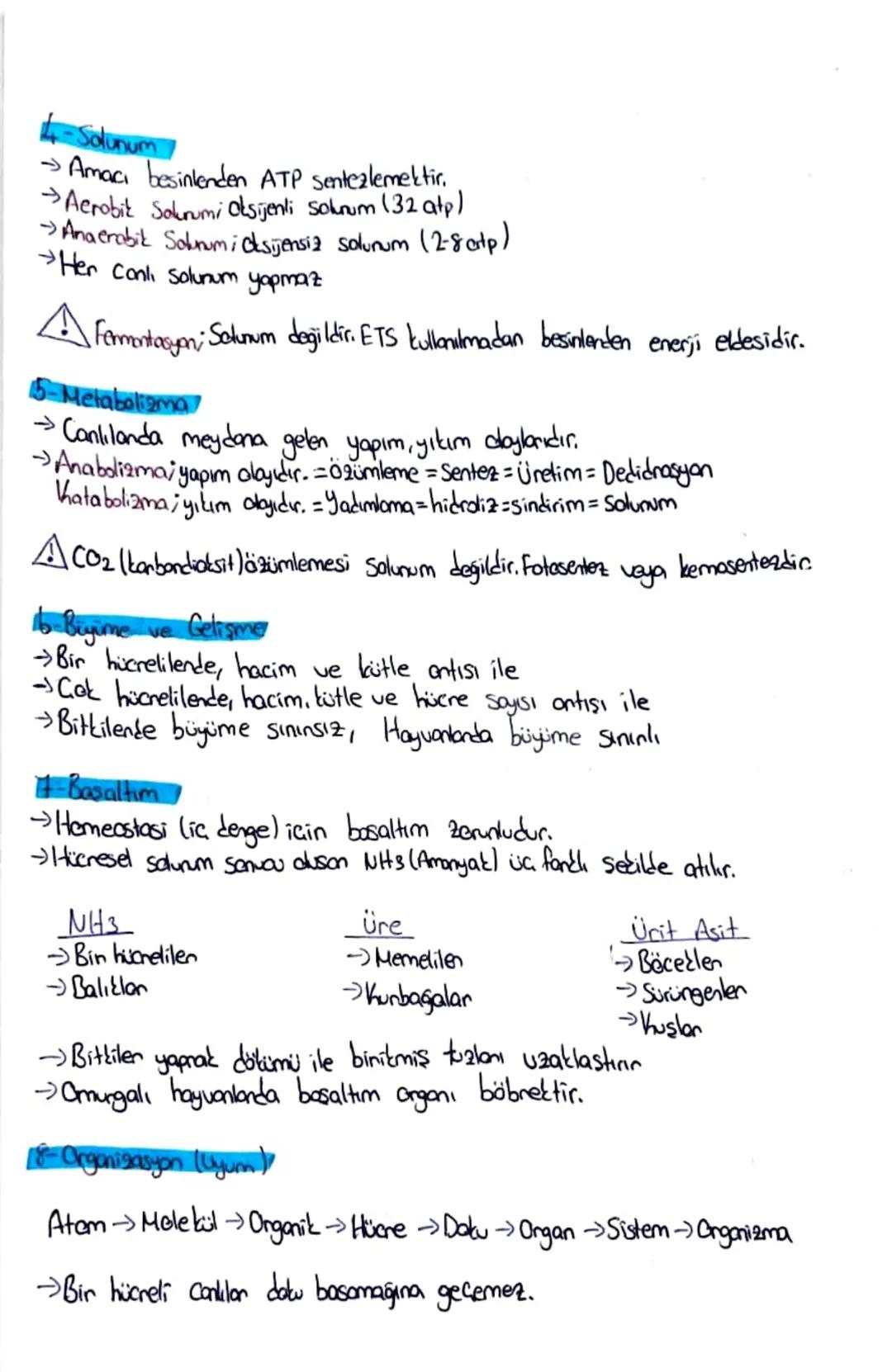 CANLILARIN ORTAK ÖZELLİKLERİ
1 Hücresel Yapıya Sahip Olma
Tek hücreliler
Batteri, arte, Öglena, Siyanobakteri
Cok Hücreliler
Hayvan, insan, 