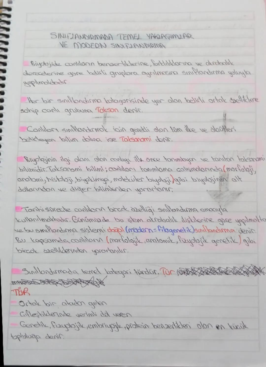 9 sınıf biyoloji