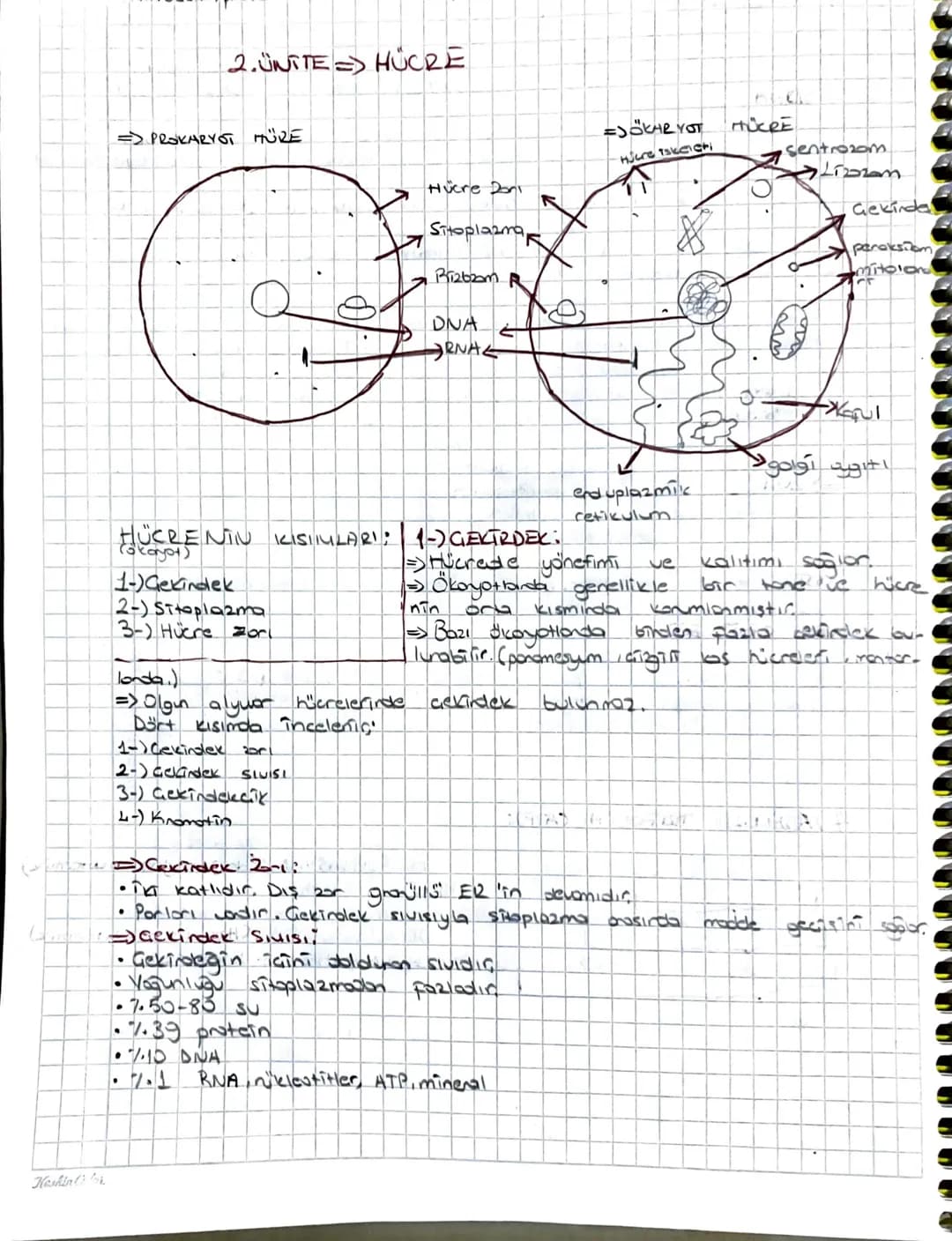 Keshin libr
2.UNITE => HÜCRE
=> PROKARYOT HÜRE
Hücre Don
Sitoplazma
DNA
RNAL
=JÖKARYOT
Hure secti
T
eduplazmik
HÜCRE
sentrozom.
Lizzan
Gekin