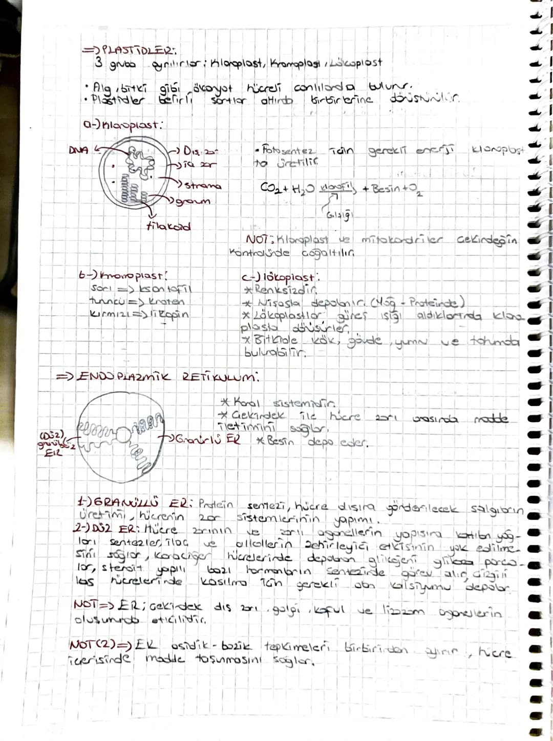 Keshin libr
2.UNITE => HÜCRE
=> PROKARYOT HÜRE
Hücre Don
Sitoplazma
DNA
RNAL
=JÖKARYOT
Hure secti
T
eduplazmik
HÜCRE
sentrozom.
Lizzan
Gekin