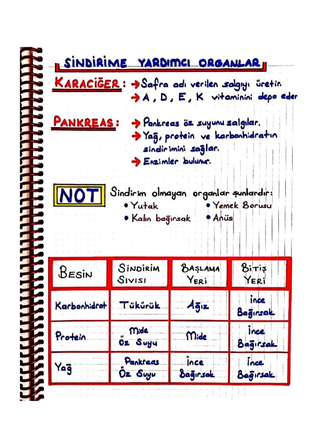 SİNDİRİM SİSTEMİ ORGANLARI,
Ağız:-Hem fiziksel hem de kimyasal sindirim olur.
-Dialer yardımı ile yapılan çiğneme olayında,
fiziksel sindiri