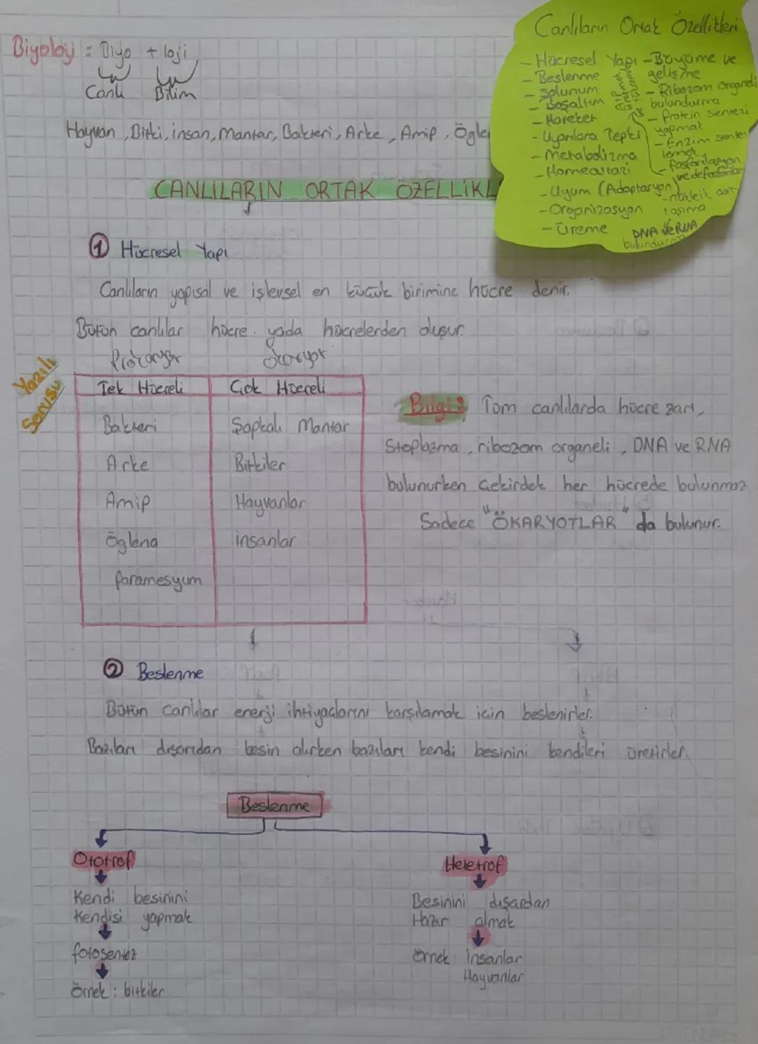 Canlıların ortak özellikleri tyt