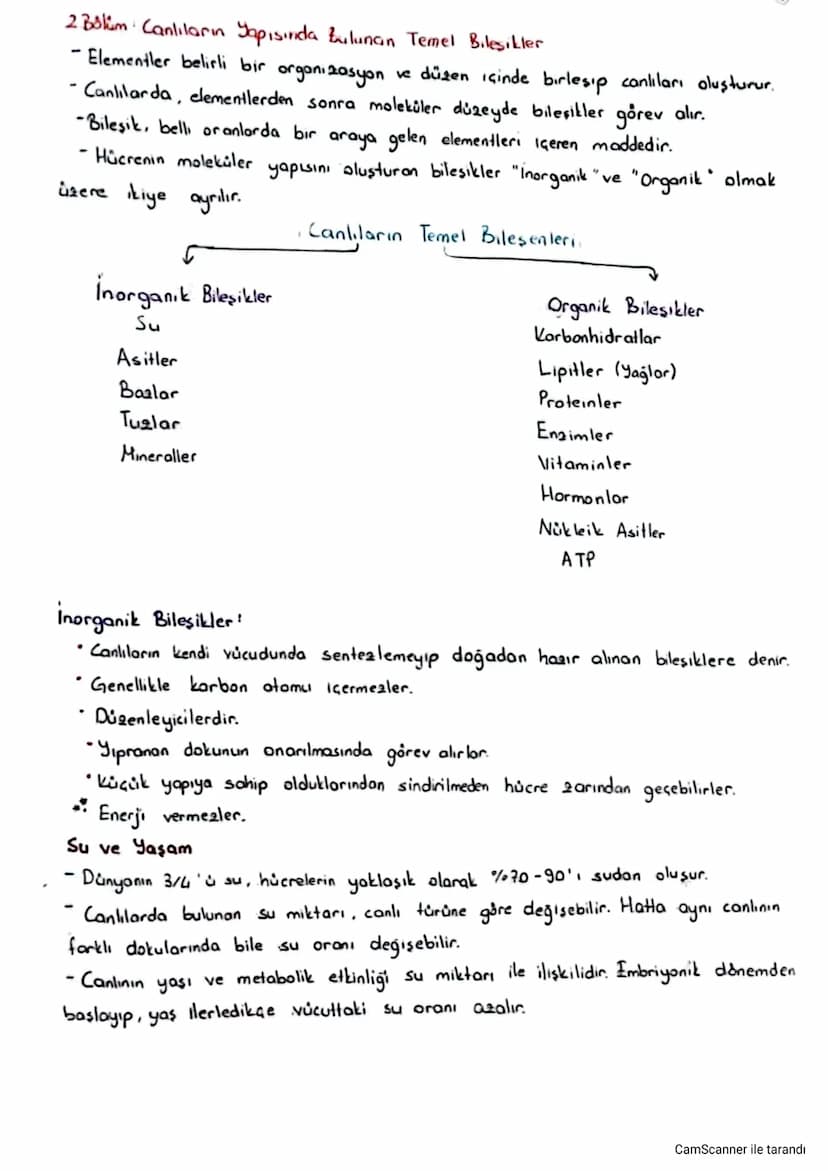 2 Bölüm Canlıların Yapısında Zulunan Temel Bileşikler
- Elementler belirli bir organizasyon ve düzen içinde birleşip canlıları oluşturur.
Ca