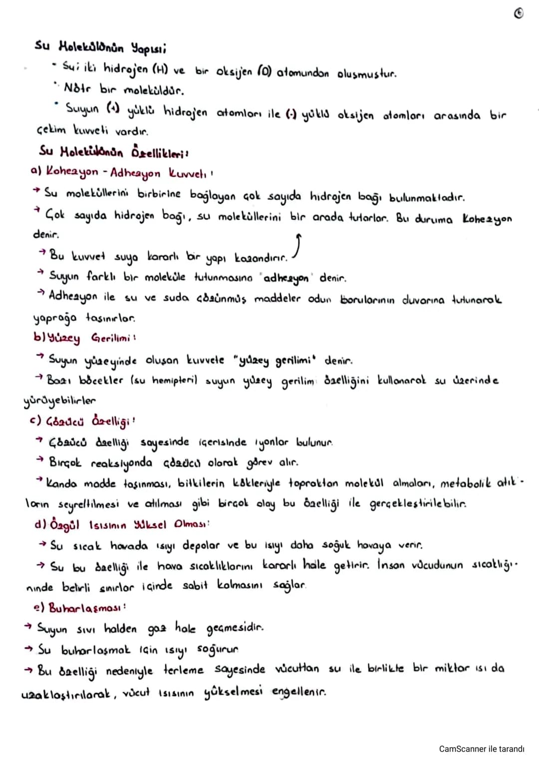 2 Bölüm Canlıların Yapısında Zulunan Temel Bileşikler
- Elementler belirli bir organizasyon ve düzen içinde birleşip canlıları oluşturur.
Ca