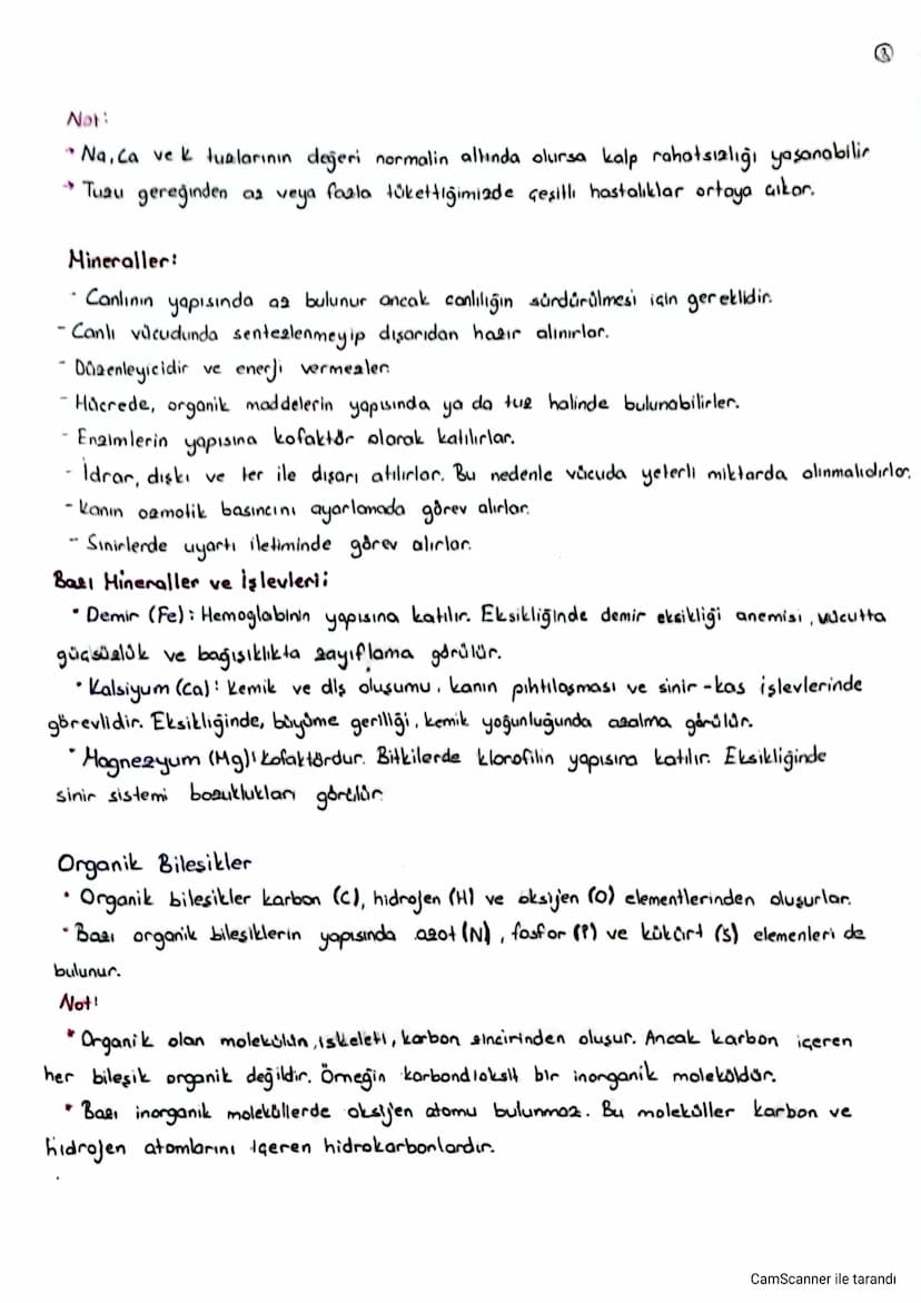 2 Bölüm Canlıların Yapısında Zulunan Temel Bileşikler
- Elementler belirli bir organizasyon ve düzen içinde birleşip canlıları oluşturur.
Ca