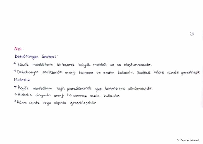 2 Bölüm Canlıların Yapısında Zulunan Temel Bileşikler
- Elementler belirli bir organizasyon ve düzen içinde birleşip canlıları oluşturur.
Ca