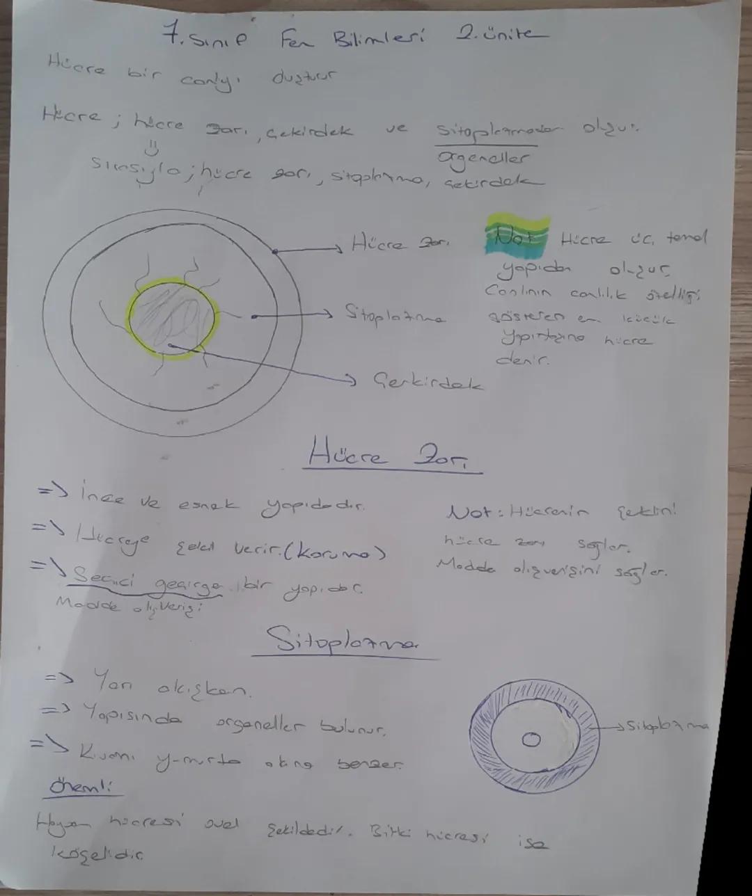 7. Sinf
Fen Bilimler!
1. Ünite

Uang Arozhamalars

Usa rodati = Gegitt Way anacilarının firlatılmasında kullanlır ve
Uzap yük jaja veya insa