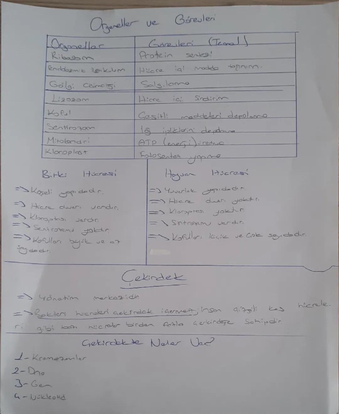 7. Sinf
Fen Bilimler!
1. Ünite

Uang Arozhamalars

Usa rodati = Gegitt Way anacilarının firlatılmasında kullanlır ve
Uzap yük jaja veya insa
