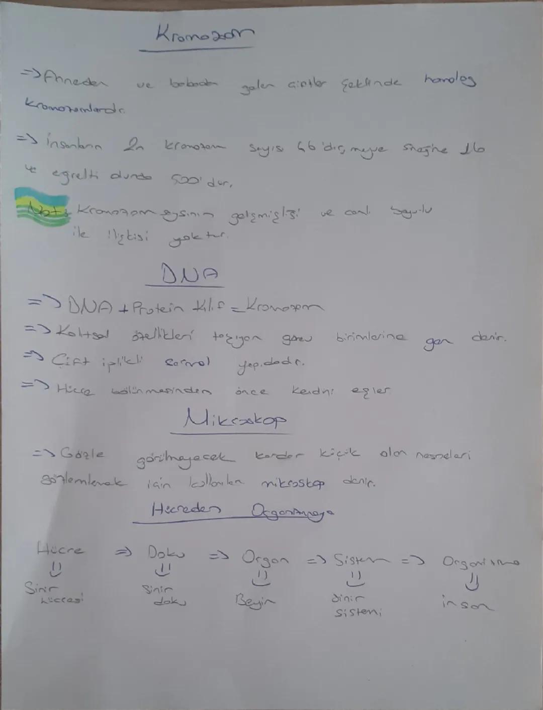 7. Sinf
Fen Bilimler!
1. Ünite

Uang Arozhamalars

Usa rodati = Gegitt Way anacilarının firlatılmasında kullanlır ve
Uzap yük jaja veya insa