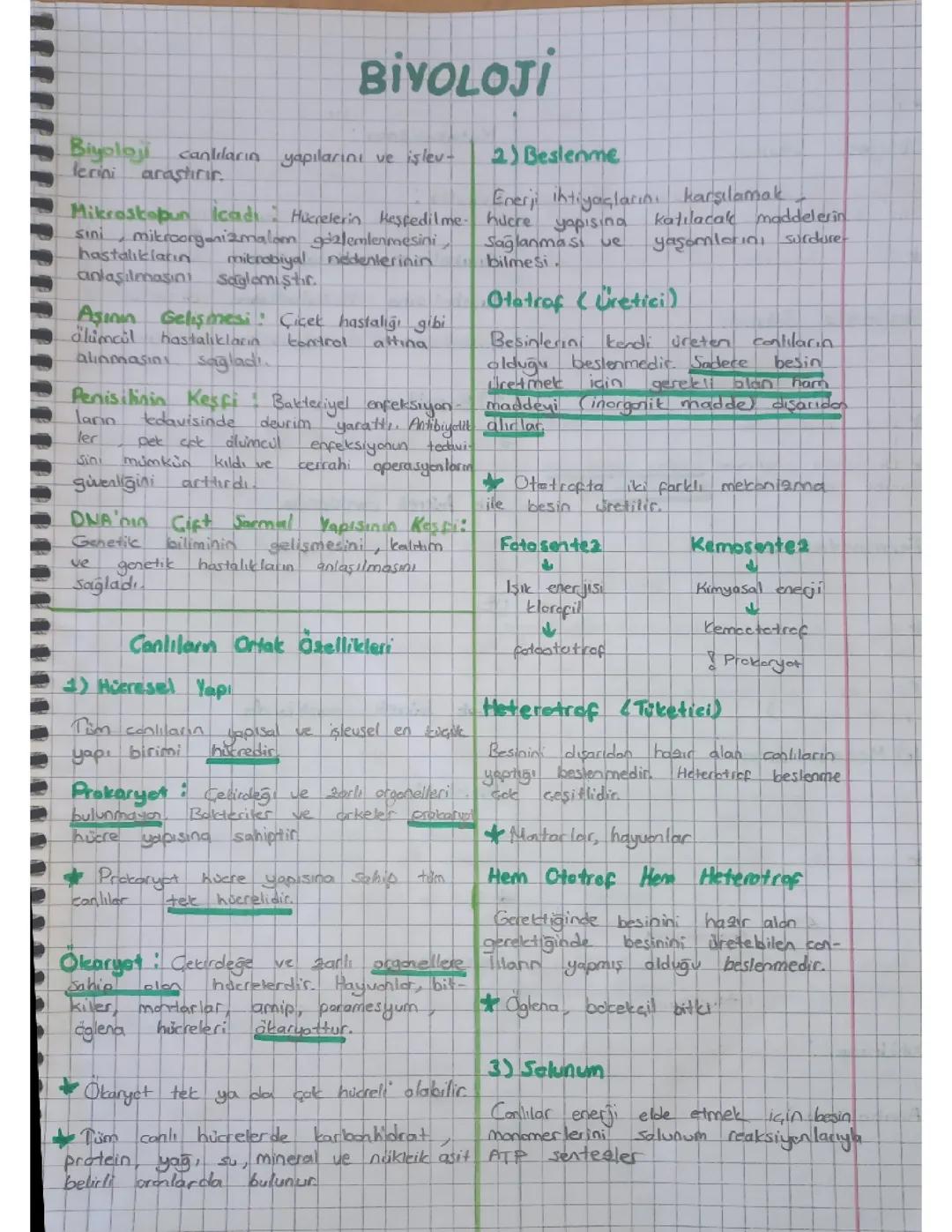 1. Dönem 1. Yazılı