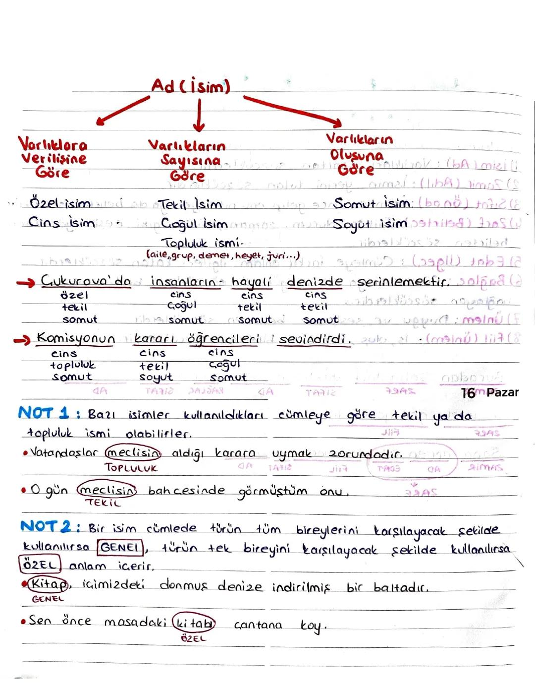 6. Sınıf Türkçe: İsimler Testi ve Konu Anlatımı PDF