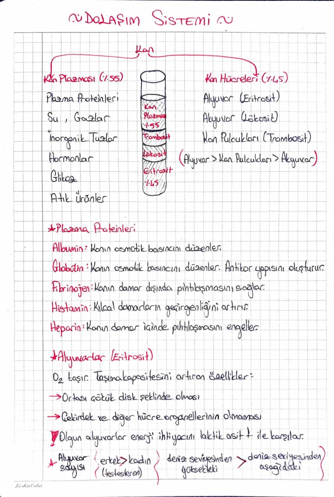 Keshin Color
NDOLAŞIM SISTEMIC
Kan Plazmasi (155)
Plasma Proteinleri
Kan
Kan Hücreleri (7.45)
Alyuvor (Eritrosit)
Su, Gazlar
Plazmas
55
İnor