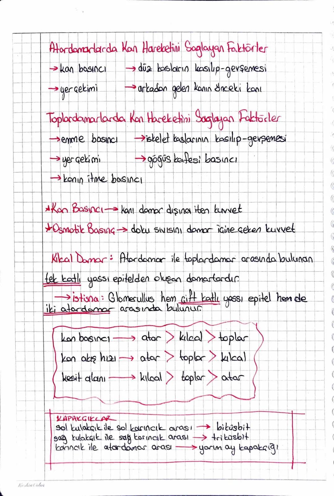 Keshin Color
NDOLAŞIM SISTEMIC
Kan Plazmasi (155)
Plasma Proteinleri
Kan
Kan Hücreleri (7.45)
Alyuvor (Eritrosit)
Su, Gazlar
Plazmas
55
İnor