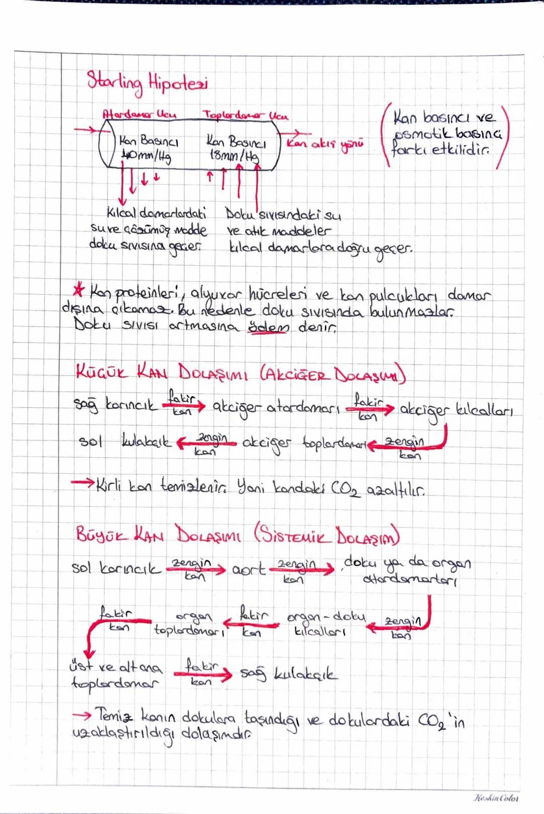 Keshin Color
NDOLAŞIM SISTEMIC
Kan Plazmasi (155)
Plasma Proteinleri
Kan
Kan Hücreleri (7.45)
Alyuvor (Eritrosit)
Su, Gazlar
Plazmas
55
İnor