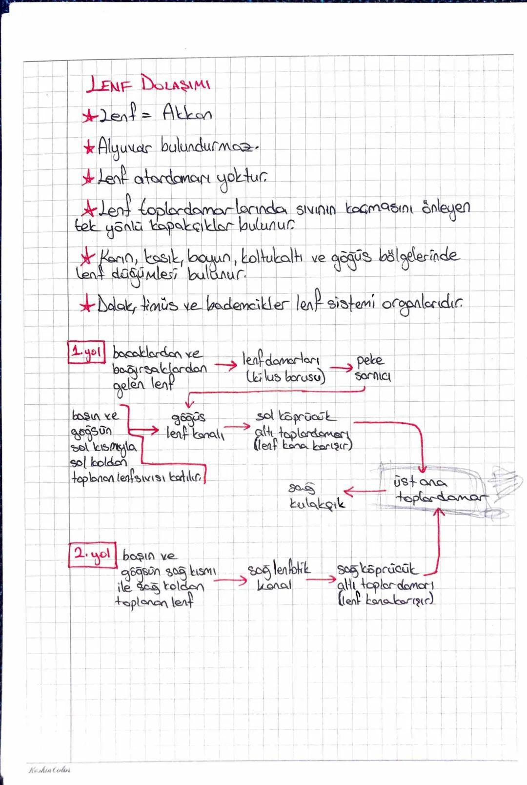 Keshin Color
NDOLAŞIM SISTEMIC
Kan Plazmasi (155)
Plasma Proteinleri
Kan
Kan Hücreleri (7.45)
Alyuvor (Eritrosit)
Su, Gazlar
Plazmas
55
İnor