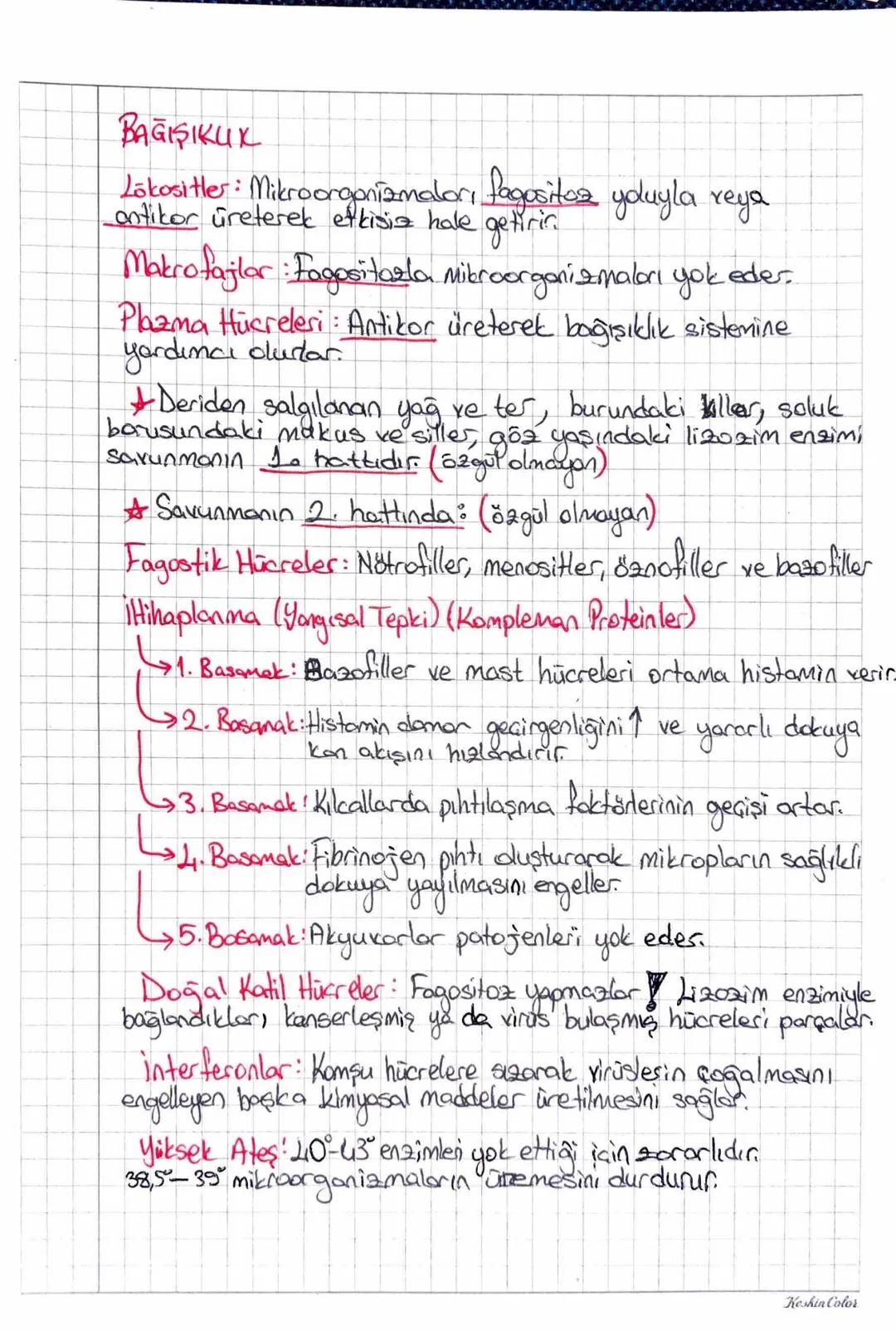 Keshin Color
NDOLAŞIM SISTEMIC
Kan Plazmasi (155)
Plasma Proteinleri
Kan
Kan Hücreleri (7.45)
Alyuvor (Eritrosit)
Su, Gazlar
Plazmas
55
İnor