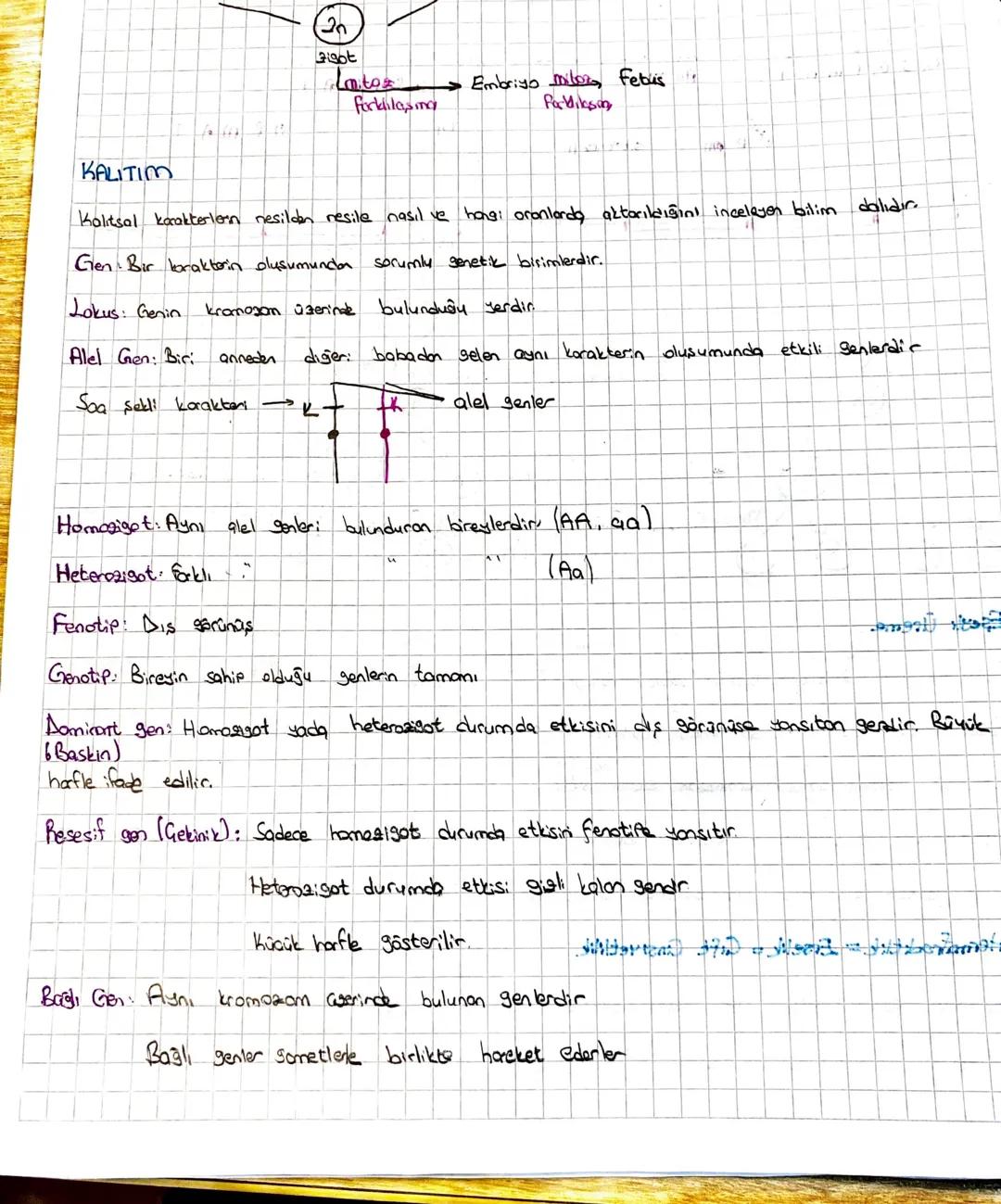 20
got
Lates
fackilasing
Embriyo miloza, Febus
For Milesin
"
KALITIM
Kalitsal karakterlen nesildan resile nasıl ve hangi oranlarda aktarıldı