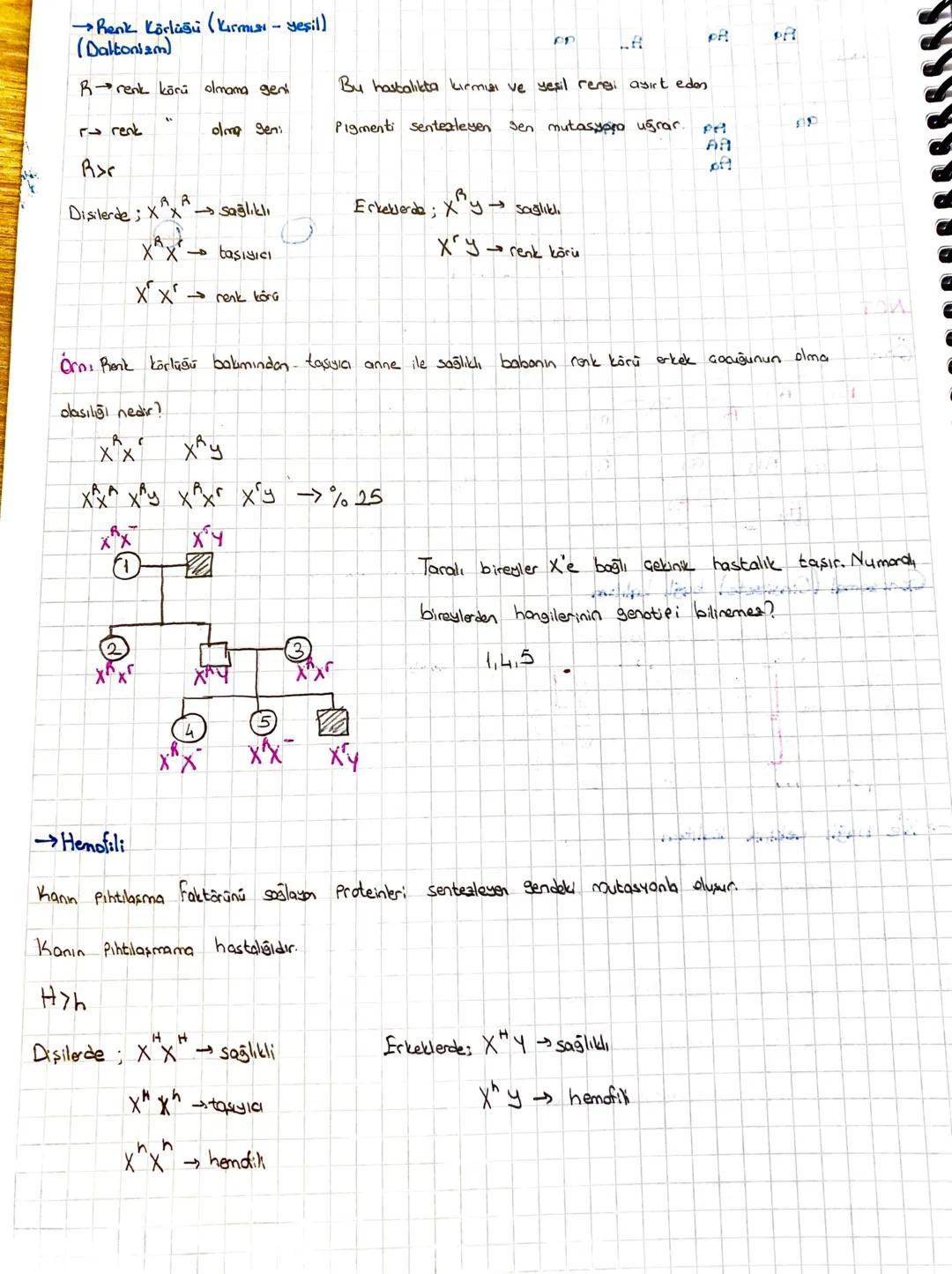 20
got
Lates
fackilasing
Embriyo miloza, Febus
For Milesin
"
KALITIM
Kalitsal karakterlen nesildan resile nasıl ve hangi oranlarda aktarıldı